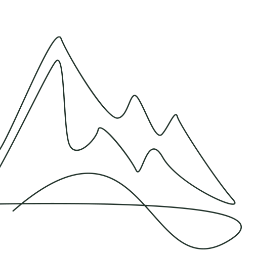 Bergvliet Icon